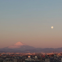 画像292