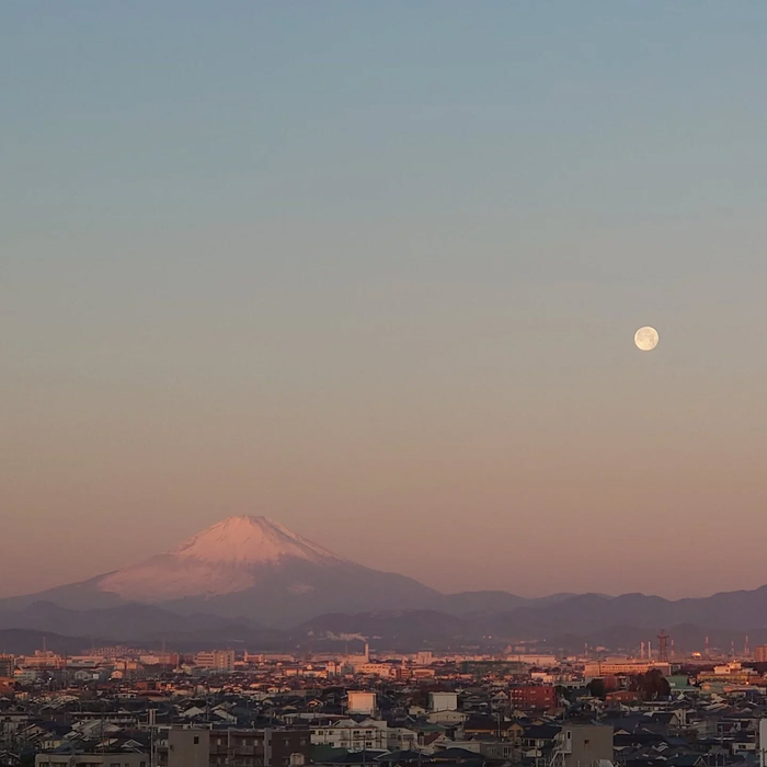 画像292