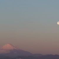 画像293
