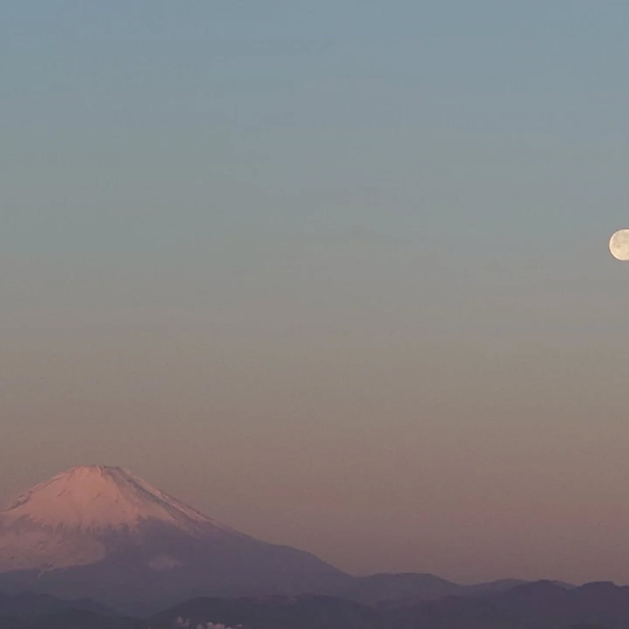 画像293